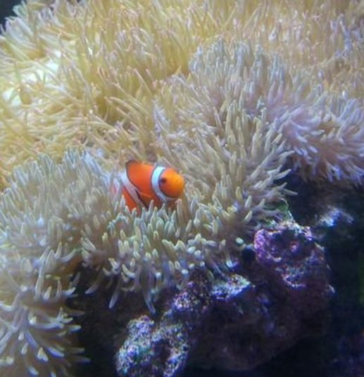 CheeverSumer's tweet image. 明け方の起床かな 😯