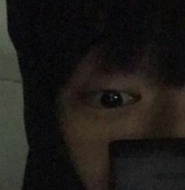 SharkDevelopers's tweet image. 国に走る 🦴