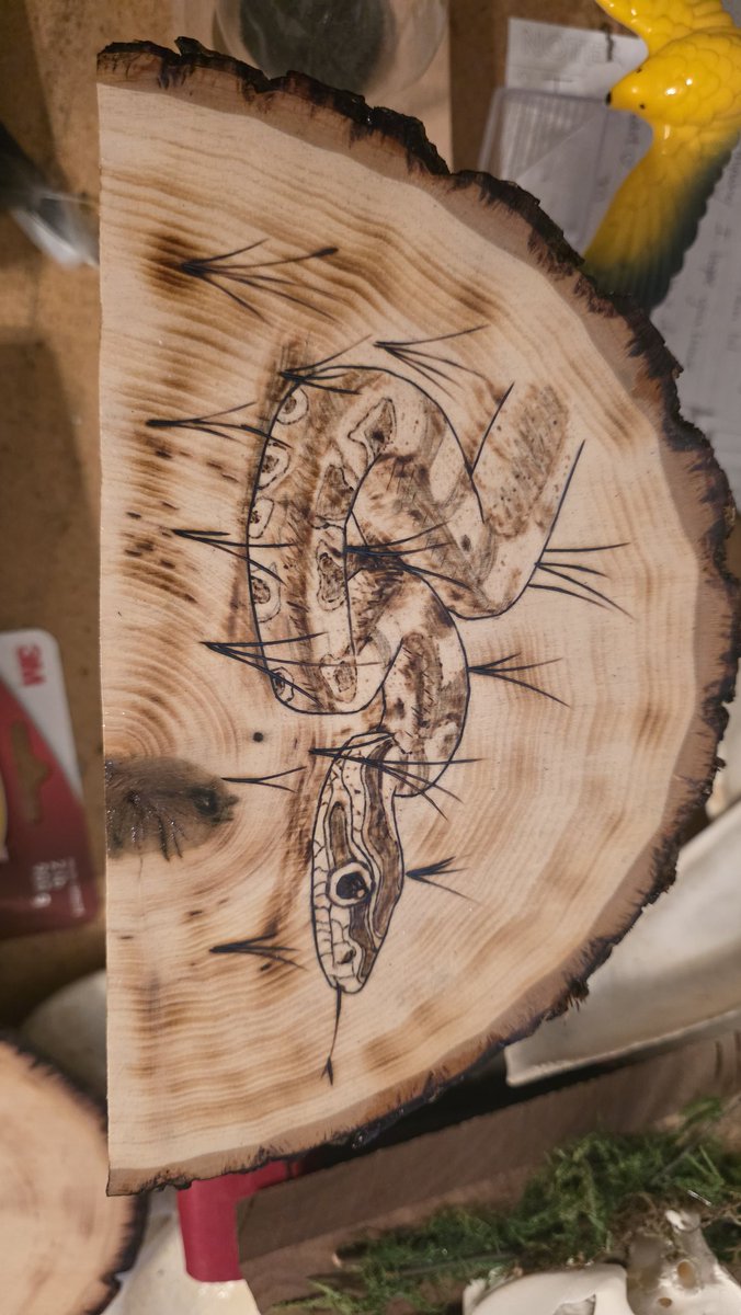 TonySeiler1's tweet image. Recent pieces!! #woodburn #pyrography