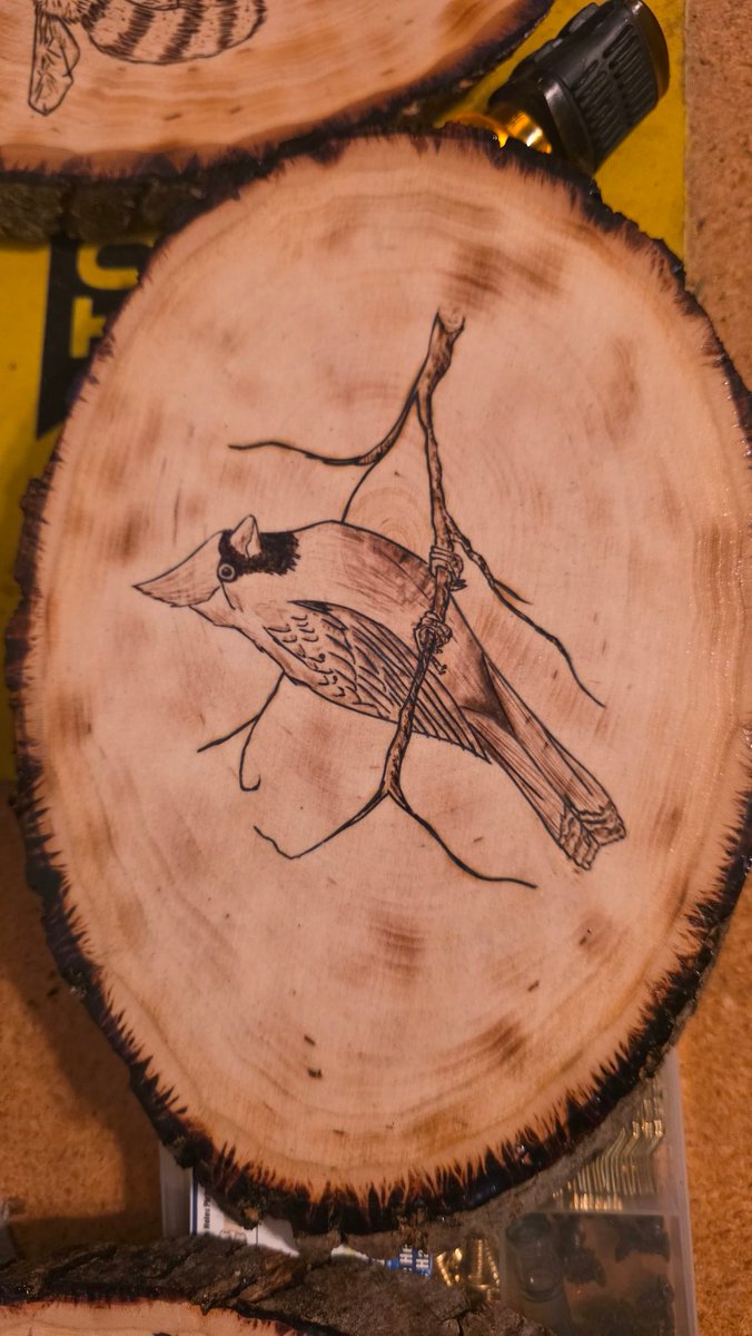 TonySeiler1's tweet image. More! #pyrography #woodburn #animals