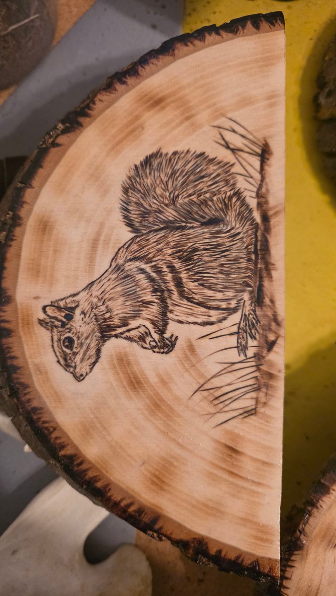 TonySeiler1's tweet image. More! #pyrography #woodburn #animals