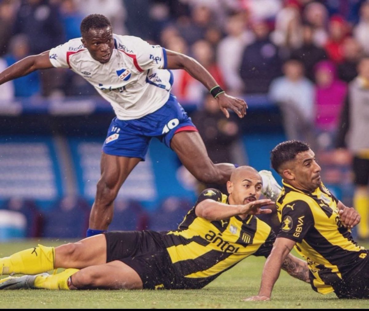 BolsoImagenes's tweet image. No puedo explicar la felicidad que me da esta foto. 

Dos burros y bocones tirados en el suelo viendo como Nacional va a salir campeón en su cara en el Parque Central.

Gracias Christian.