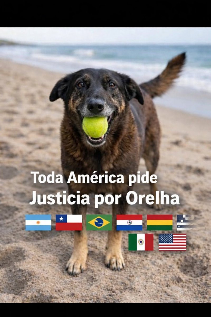 <a href="/Brenn0505/">𝕭𝖗𝖊𝖓𝖓🖤🤍</a> #justicapororelha 💔💔🐾🐾