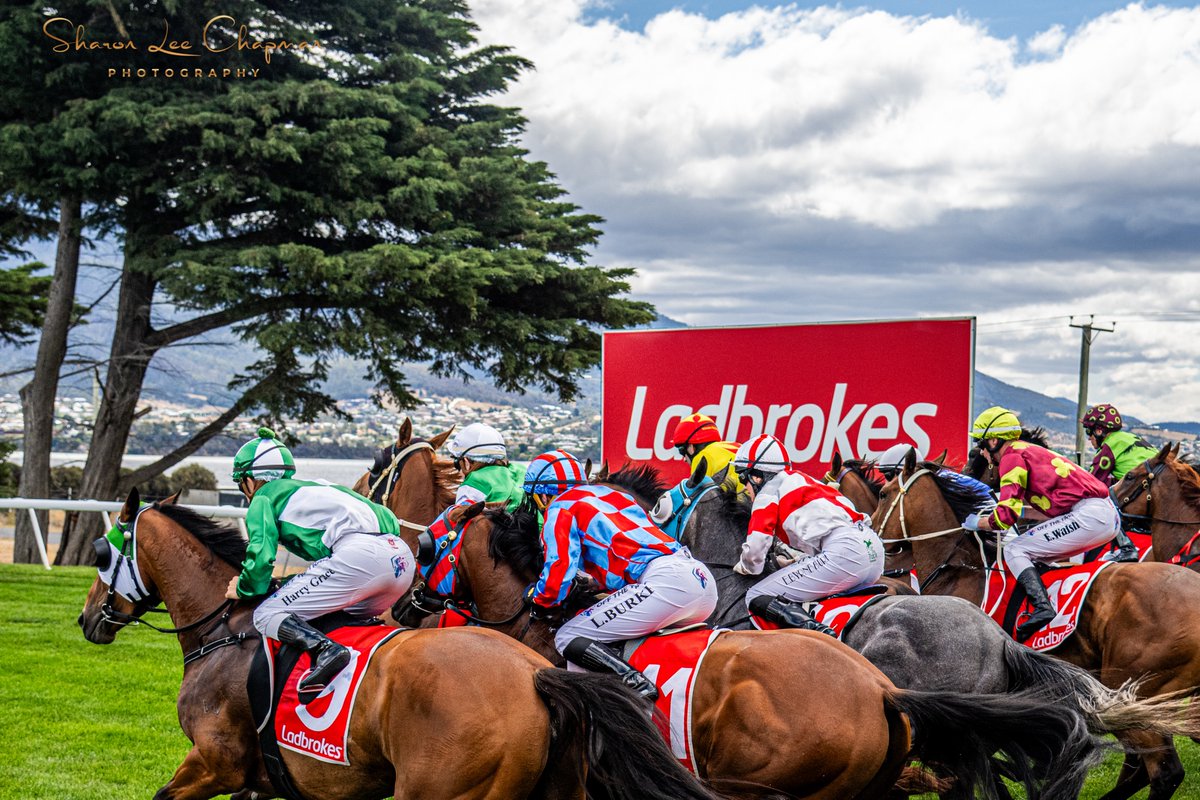 SHARON CHAPMAN tweet media