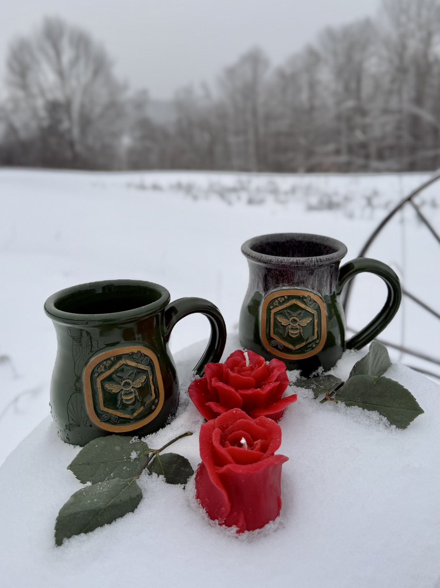 LadyHollowTree's tweet image. Candle stock has been updated on our website! This is the last Friday we’ll be offering roses for sale. 🌹🥀

We’ll do our best to get all orders out by Monday at the latest but to make sure an order arrives by Valentine’s Day, you might want to upgrade to standard shipping (USPS…