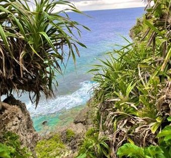 EAL83's tweet image. 緊張するね！ 🐠