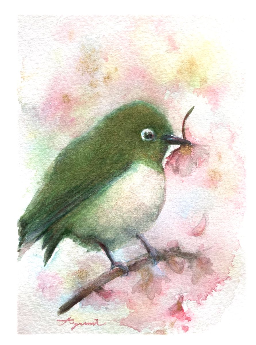 メジロちゃん🕊️ 文鳥と比べても半分程の重さしかないようです