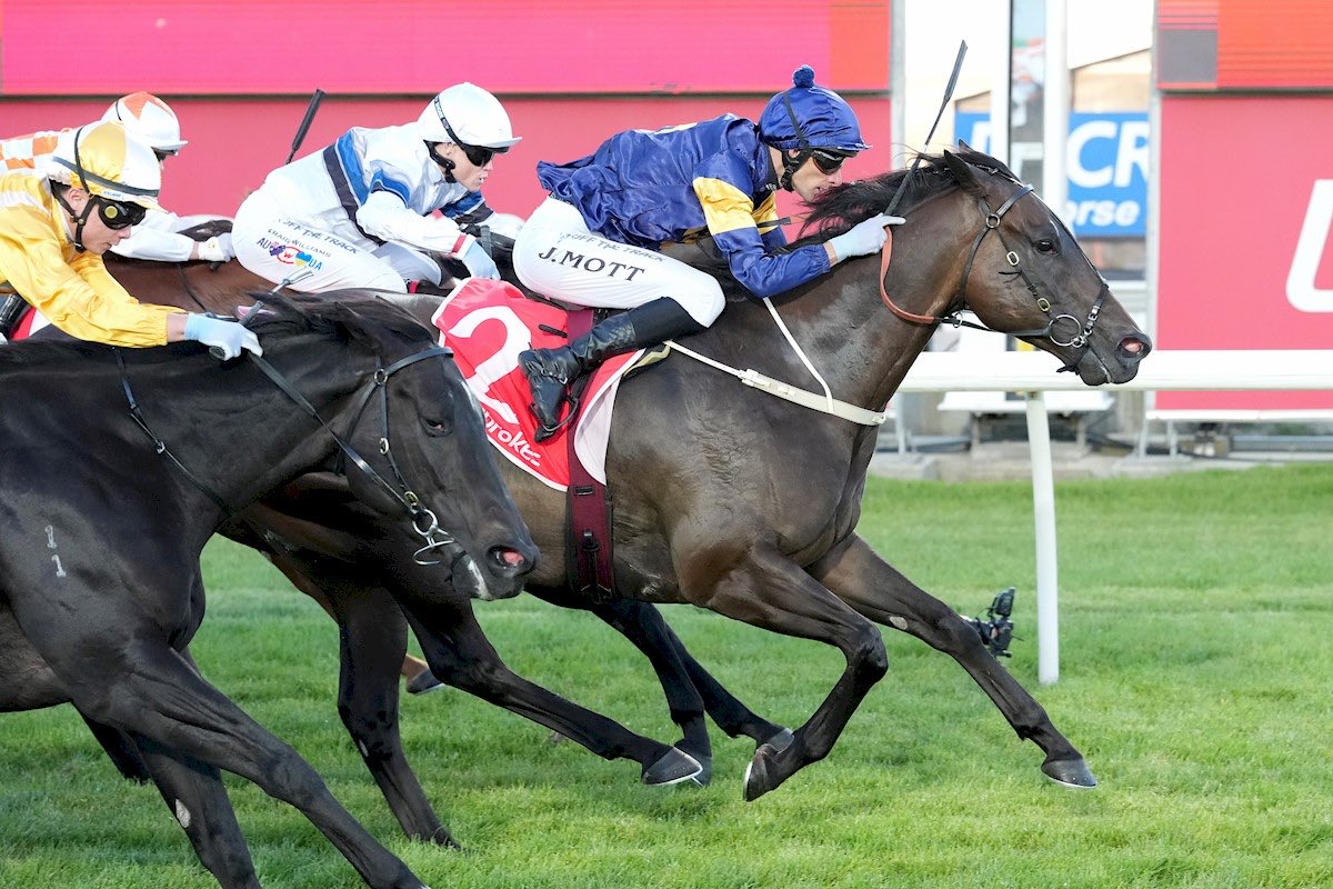 Mullaglass Stud tweet media