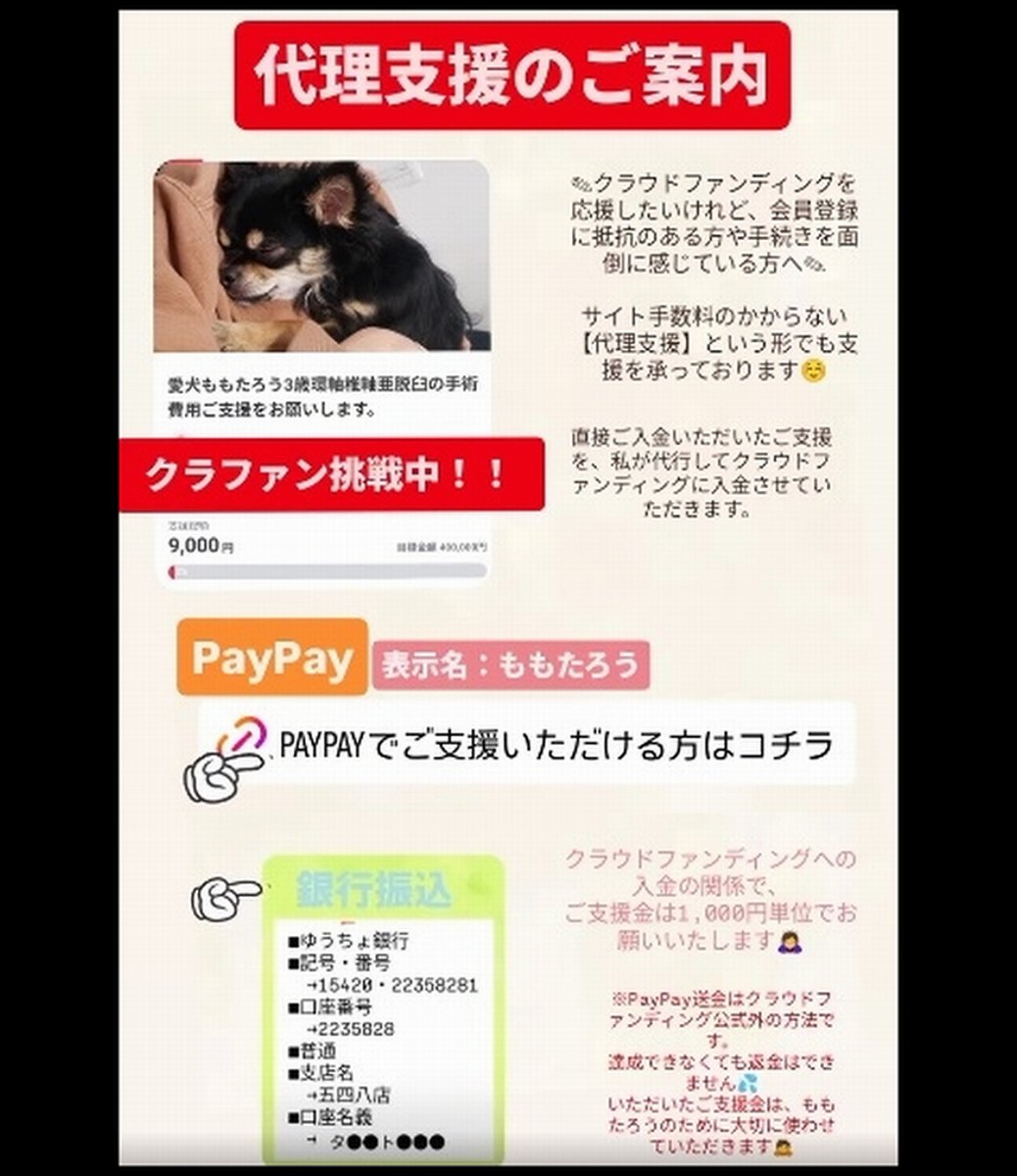 🆘#拡散希望🆘
ももたろう くん の 環軸椎軸亜脱臼の手術費用 のクラウドファンディングへの御協力お願いします🙇‍♂️
↓
readyfor.jp/projects/1101m…

残り9日で、達成率10%(残り36万円)と、大変 厳しい状況です！
達成率が100%に達しないと支援金を受取る事が出来ません。

ご支援お願い致します🙇‍♂️