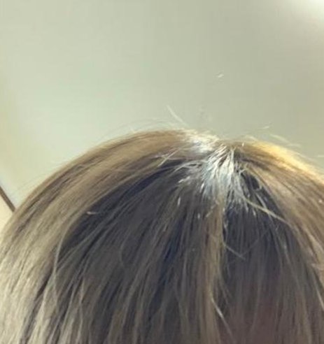 vbromack's tweet image. 第188日 🤭