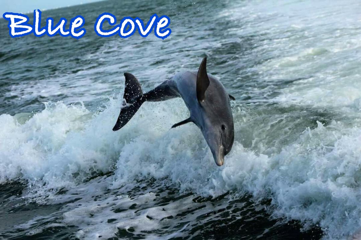 RT @KunitoSeko: Today is Saturday. The hunters did not gather at