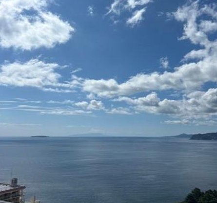 Shellie2326's tweet image. 午前の散歩だよ 🤫