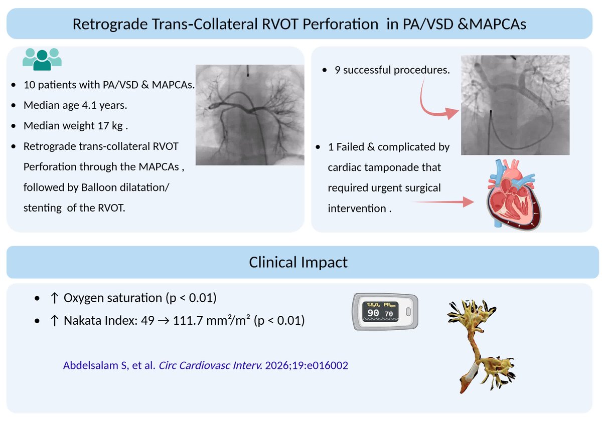 CircInterventions tweet media