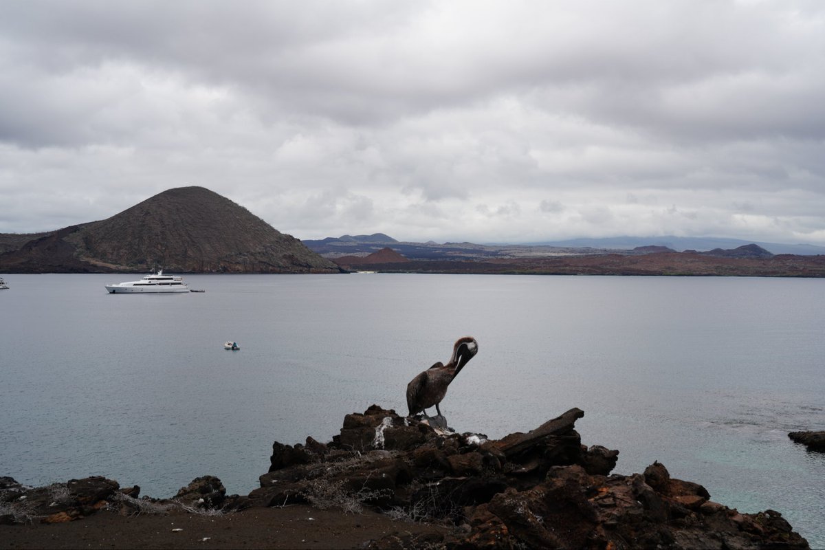 hellonatterrrs's tweet photo. Bartolomé Island #ParqueNacionalGalapagos #Galapagos #Volcano https://t.co/jriZMRrVAa