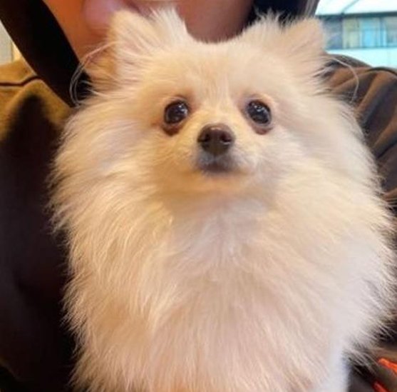 InactiveTweet's tweet image. 水泳でリフレッシュ 🦓