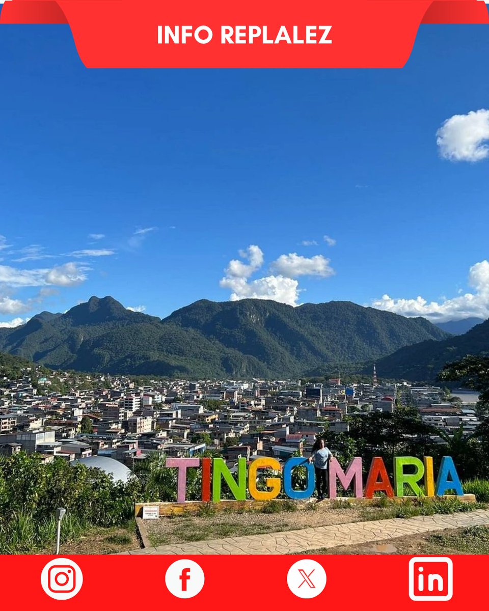 Replalez tweet media