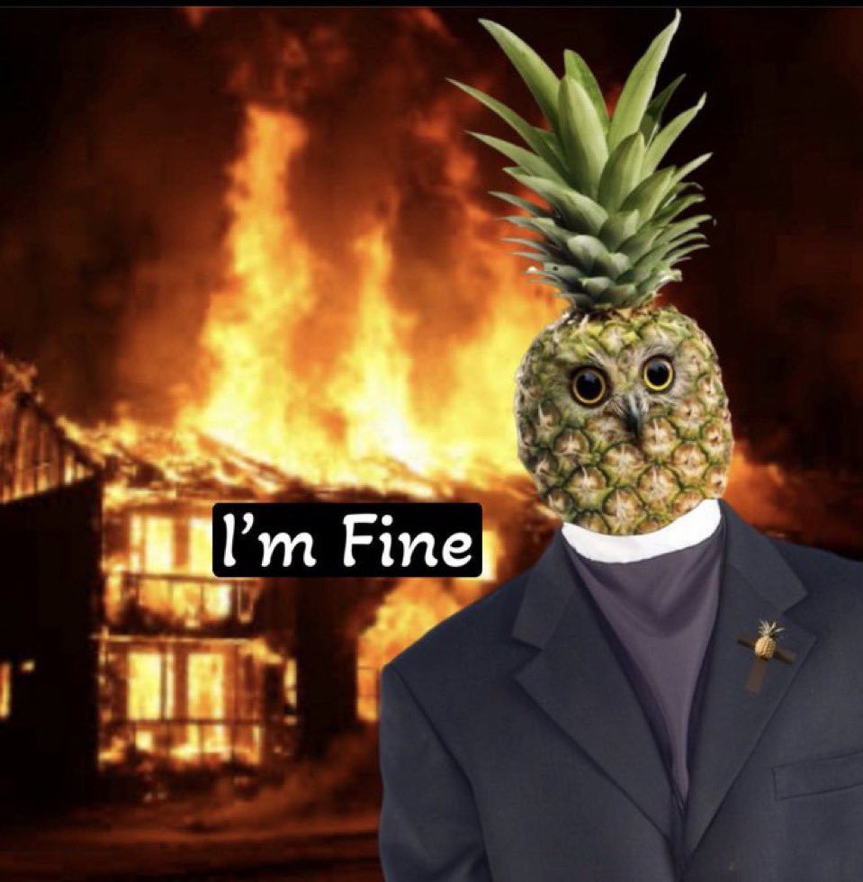 PINEOWL 🍍🦉 tweet media