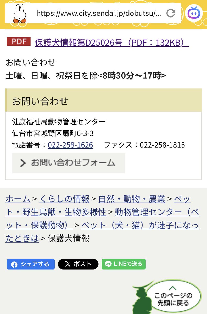 ai72395740's tweet photo. 家族が見たのは2月6日の朝
検索していて見つけた2月5日に保護されている子の情報と似ています
これは憶測ですが、もしかして2匹いる？
マイクロチップなし… https://t.co/uKrxa8qmiB