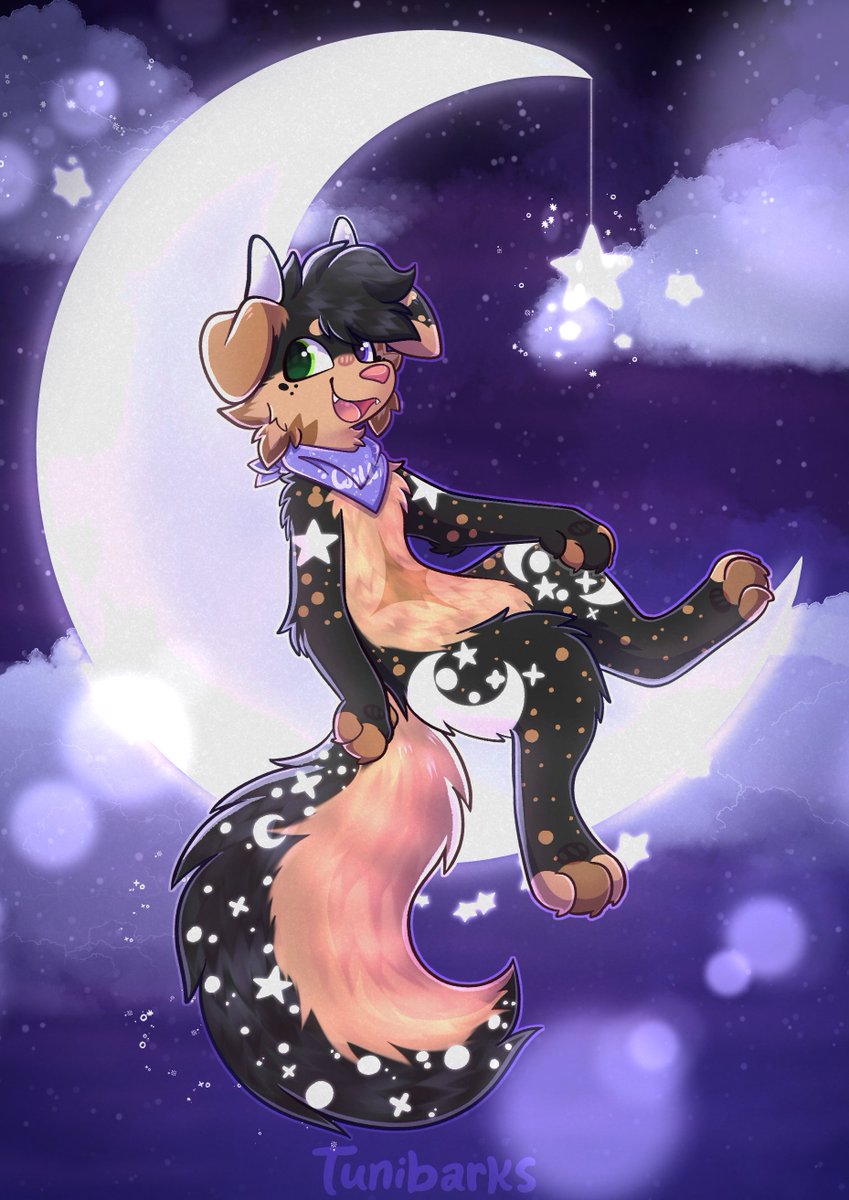 Tunibarks ⚡ tweet media