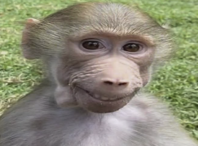 sinisterbart tweet media