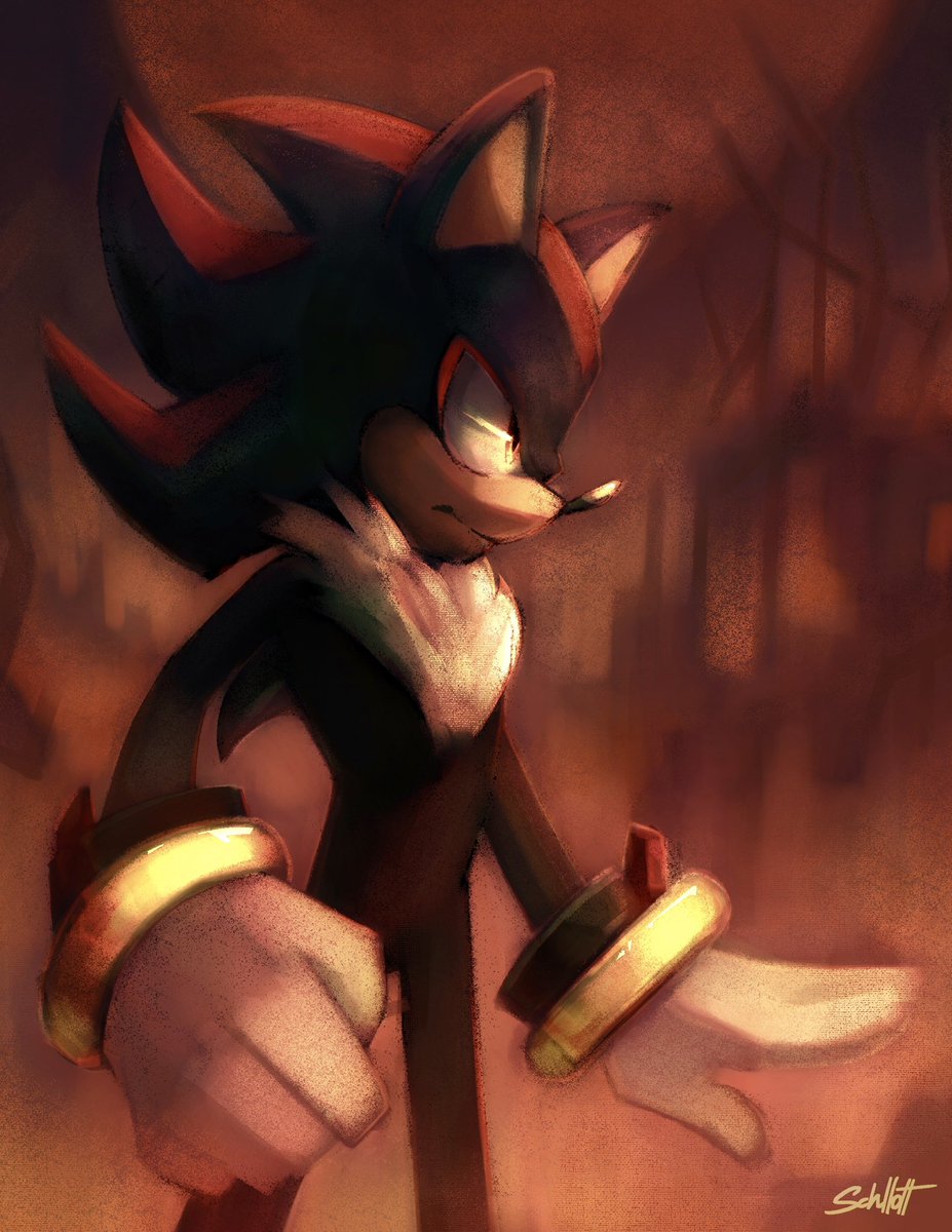 Schllott tweet media