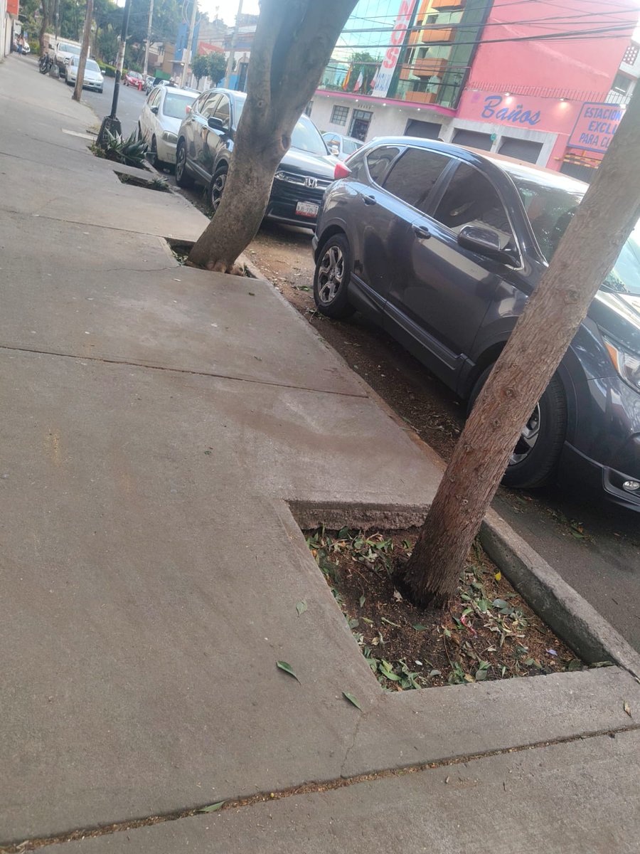 Ya quedó vecina, el equipo de #DGSUBJ de la alcaldía acudió e hizo limpieza y retiro de ramas y basura. 
Seguimos pendientes y trabajando por espacios públicos limpios y ordenados. 🌳