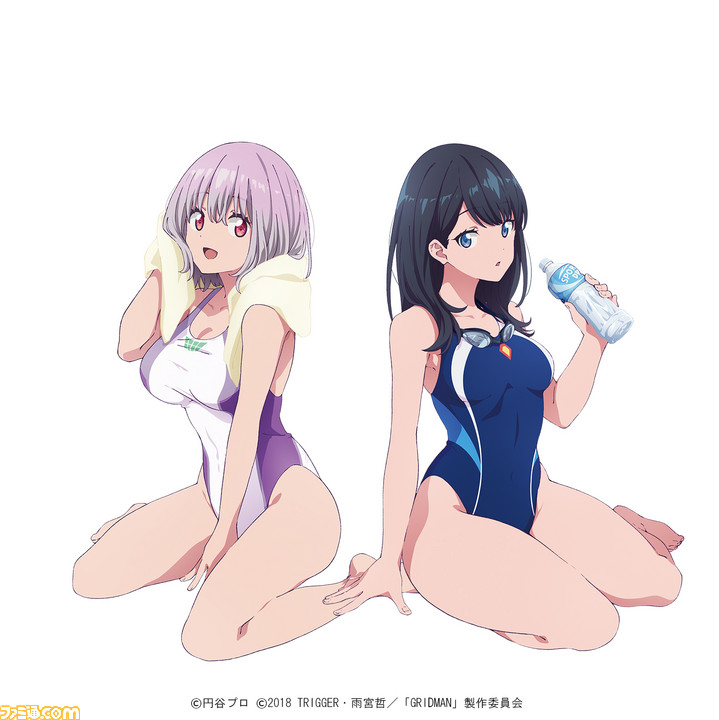 つまり学校指定の水着はこれか 