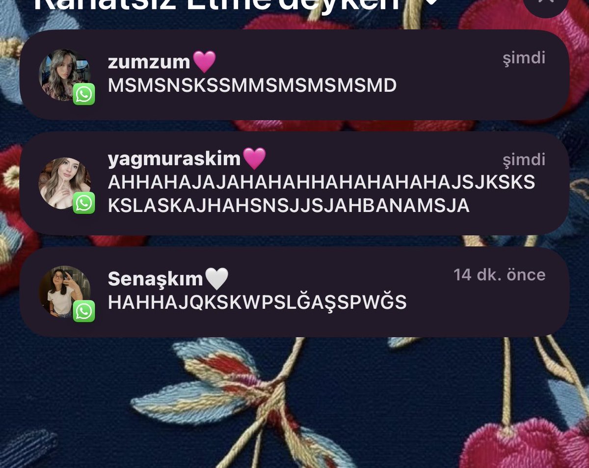 komik bi kiz oldugum soylentileri dogrudur….