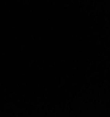 InsideLocalDeal's tweet image. 休日園芸を始める 🌙