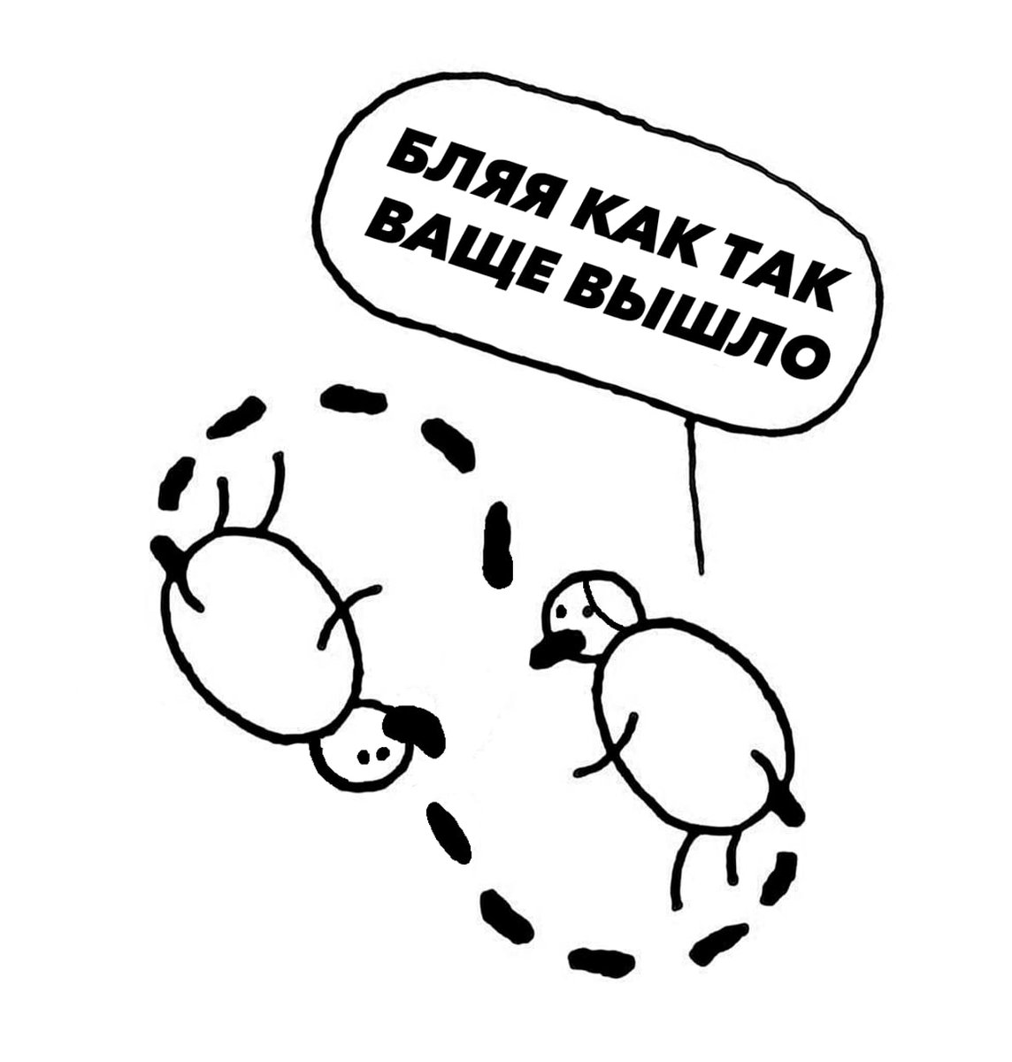 ioannadenisova4's tweet photo. https://t.co/pu8aFZqLVZ