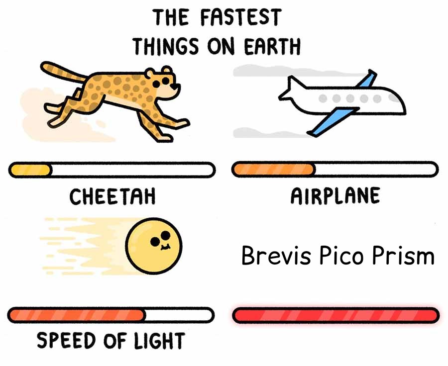 fast proving is the order of the day with pico