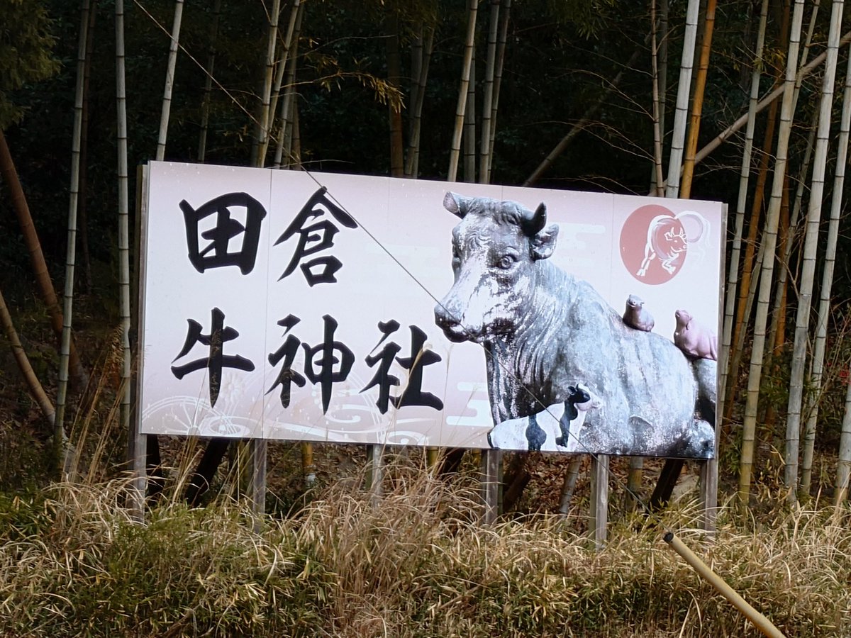 #田倉牛神社
#酪ラジ

仕事の関係もあり、毎年ではないものの折に触れて参拝してきた 田倉牛神社。

今年は、いつも聴いているSpotifyの番組『酪ラジ』でこの神社が紹介されていたこともあり、天津神社の参拝を終えたあと、迷わず最後に向かいました。

                 instagram.com/reel/DUbsPu9k3…