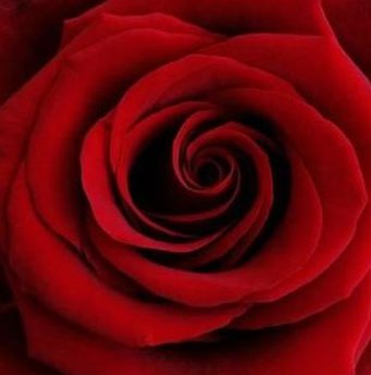 Xander_AS's tweet image. 今週勉強を頑張る 👩‍🚀