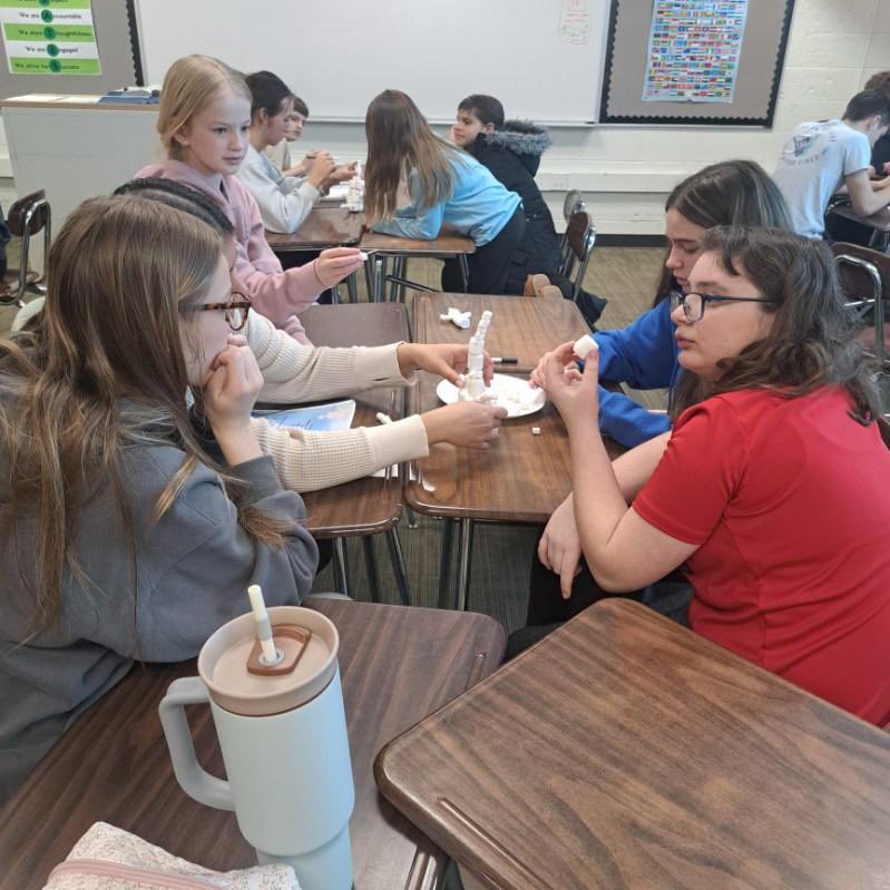 Tony Hollow tweet media