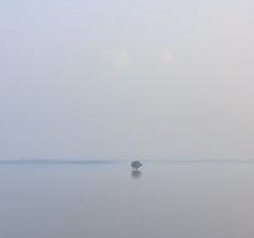 sayed9160's tweet image. 女はどれの？ 🦉