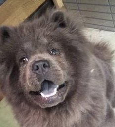 LisaClive's tweet image. 激しい雨 🤨