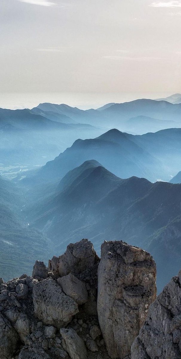 Corefuge's tweet image. スポーツが酸っぱい 🐥