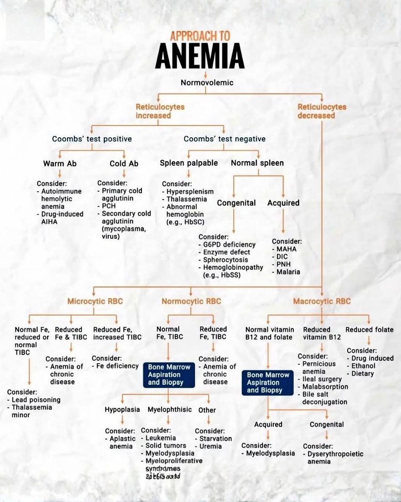 AliAl_khalifah's tweet image. لكل الزملاء في المختبرات.. 👩‍🔬👨‍🔬
طريقة التعامل مع عينات الأنيميا باحترافية من الألف إلى الياء في صورة واحدة.
​الدقة في قراءة الـ Blood Film وربطها بالـ Reticulocytes هي مفتاح الحل. 🔑🩸
#Lab_Life #Alkhalifah_lab #Hematology