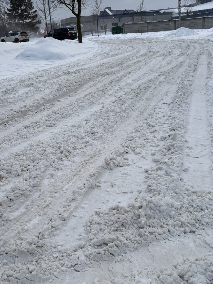 Lisa 🇨🇦 tweet media