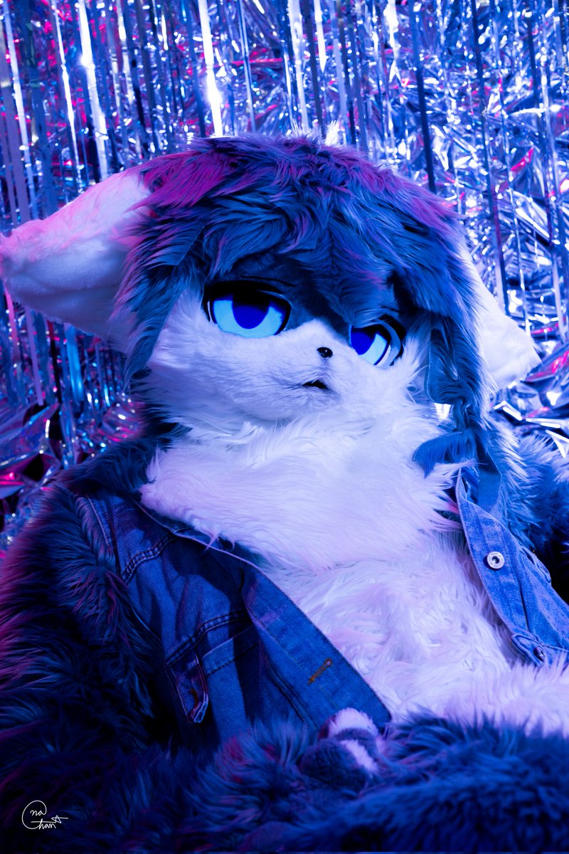 #FursuitEveryday
'거만'