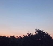 CesarDaniel1985's tweet image. 新機能情報 🧍‍♂️