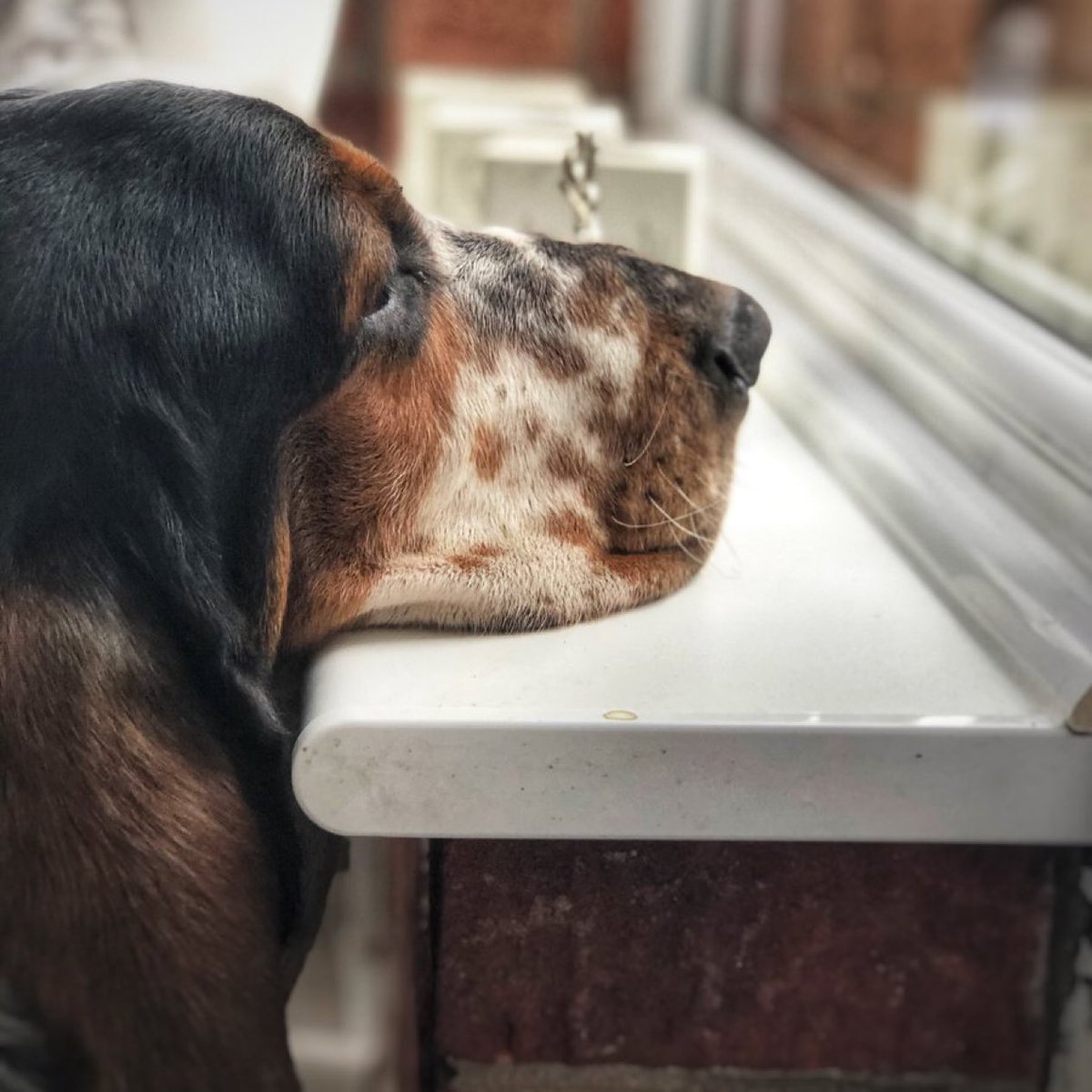 Phil Sledge tweet media