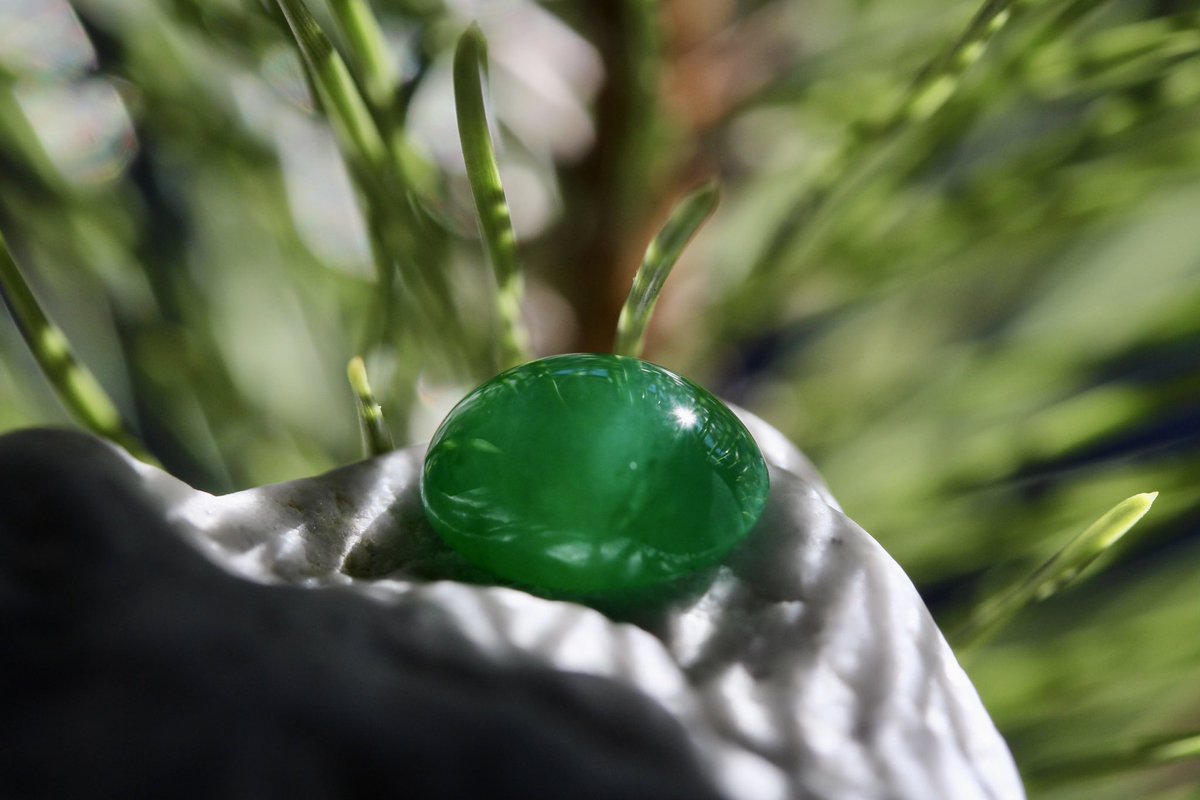 翡翠 ひすい 自然が息づく✨ 刈谷石フリマへ。 明朝会場へ向かい