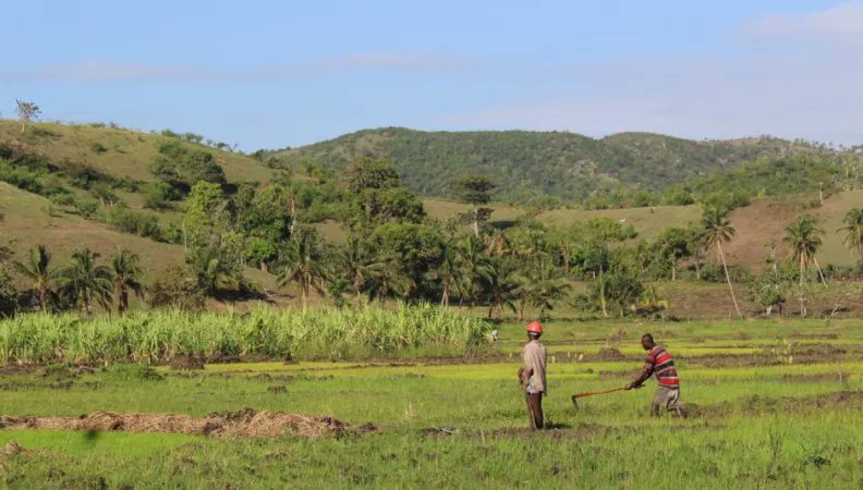 David Bruchon tweet media