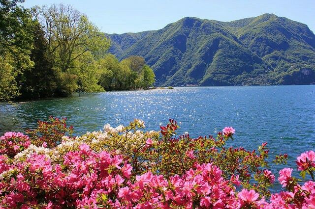 greenvibe's tweet image. 