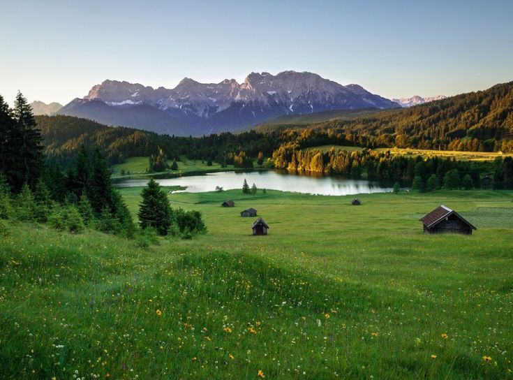 greenvibe's tweet image. 