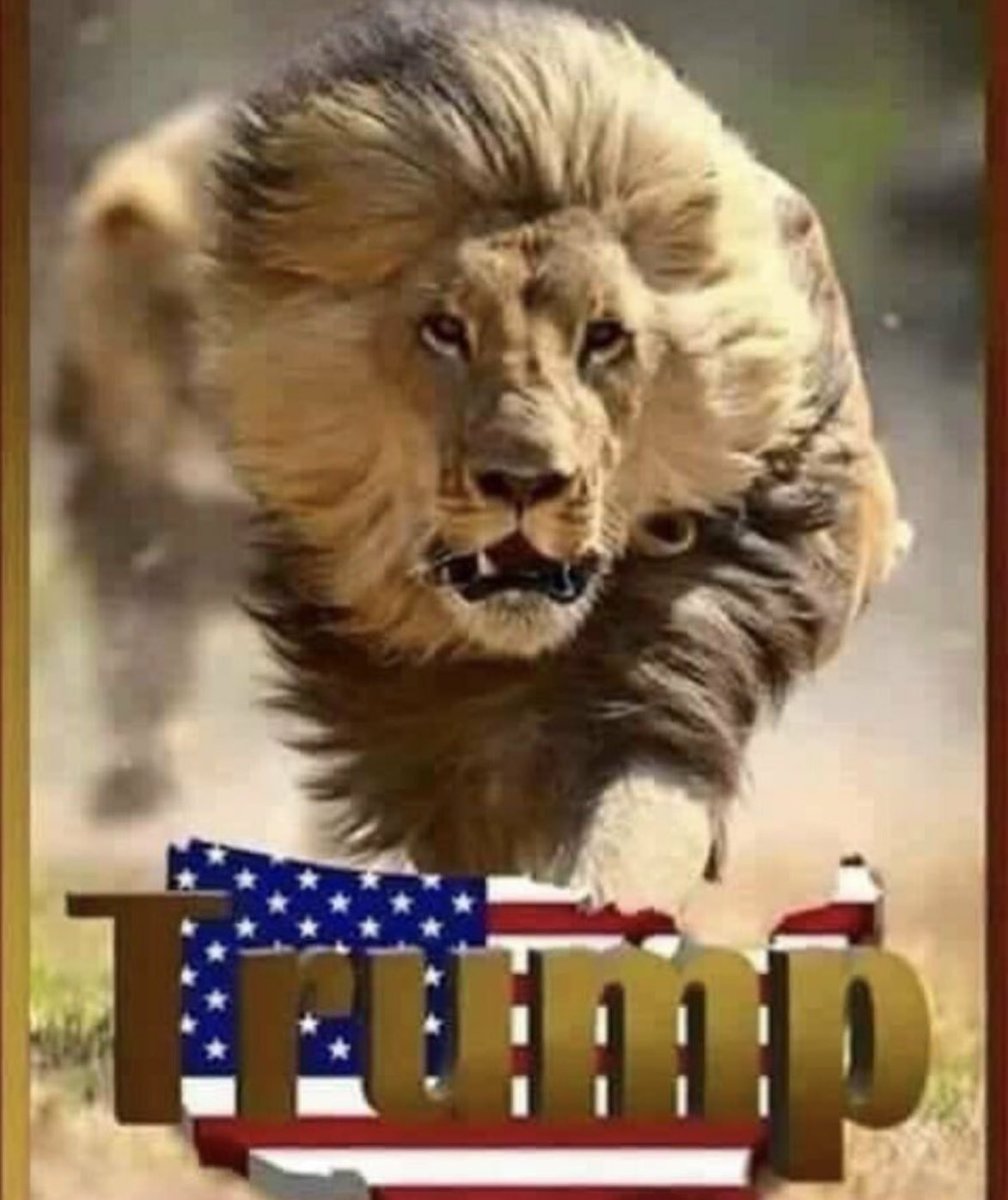 UscgDan's tweet photo. ⚔️🇺🇸⚔️@realDonaldTrump ⚔️🇺🇸⚔️ https://t.co/AtNNZLmMPr