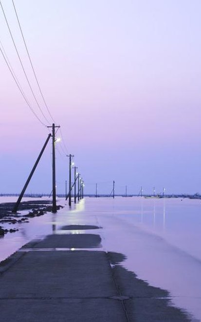 ChenColor's tweet image. 霜に癒される 🌽