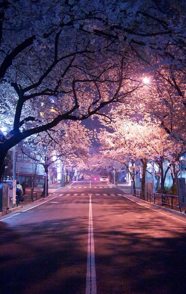 sinival_de's tweet image. 口が薄い 🤱