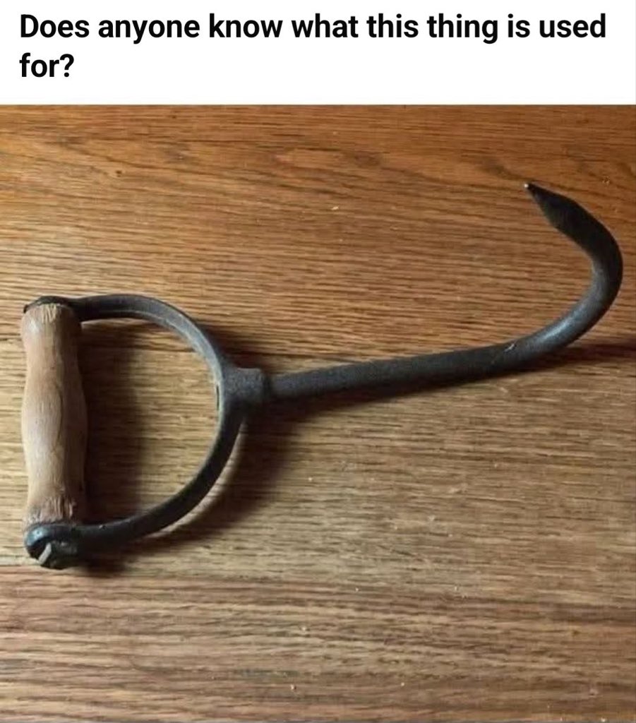 LadyValor tweet media